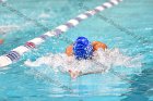 Swimming & Diving vs Babson  Swimming & Diving vs Babson College. - Photo by Keith Nordstrom : Wheaton, Swimming